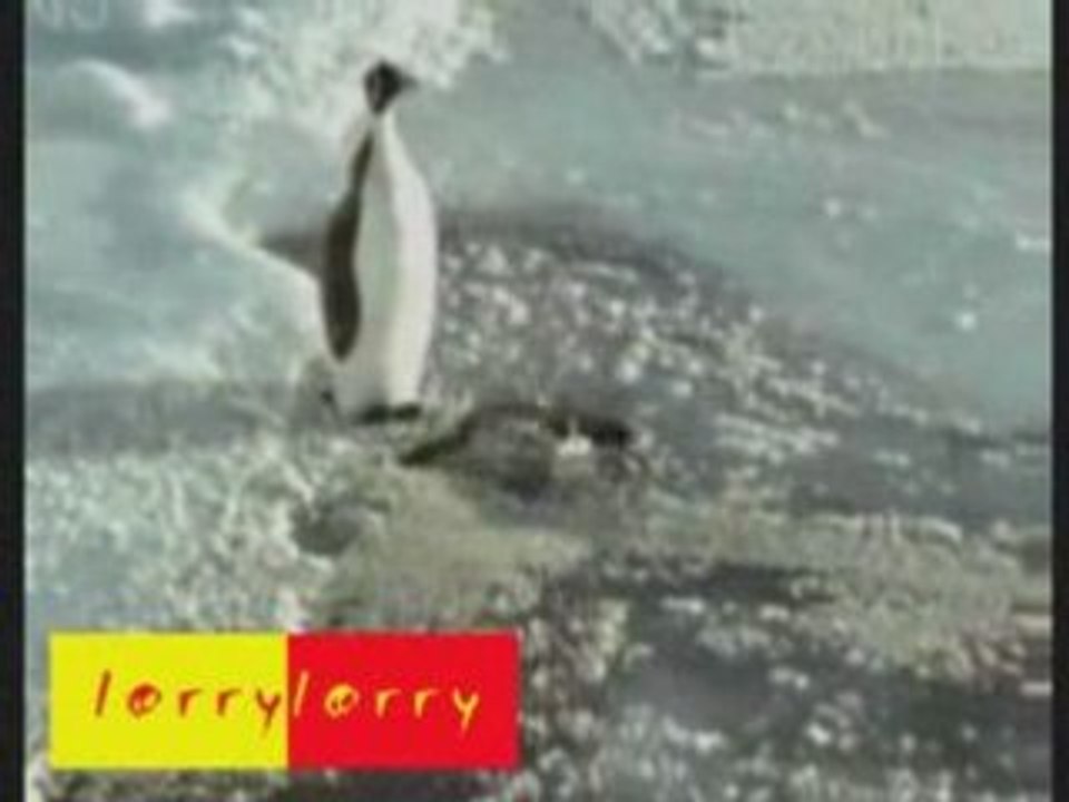 Pingouin's Attack