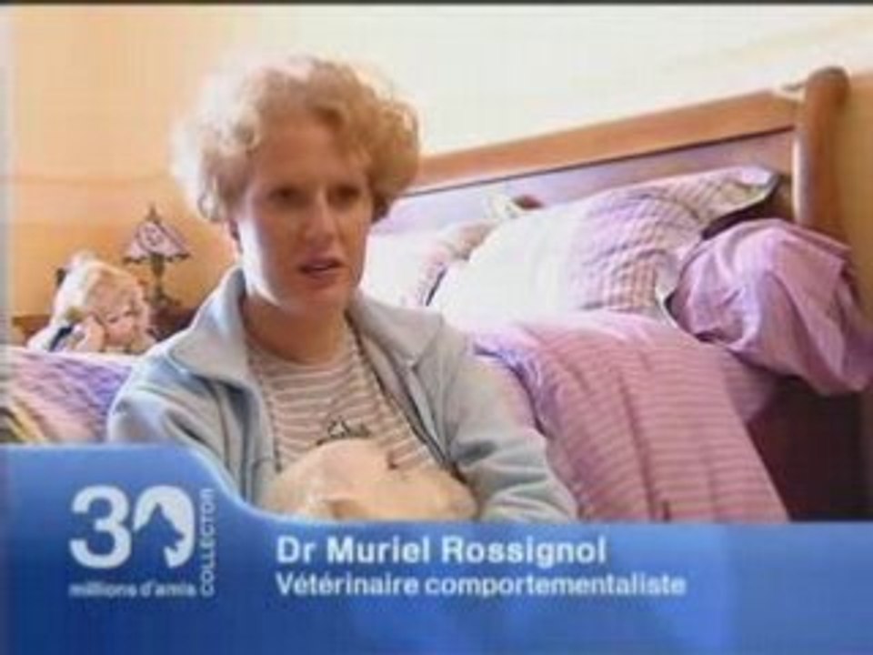 30 millions d'amis:J'éléve mon chien