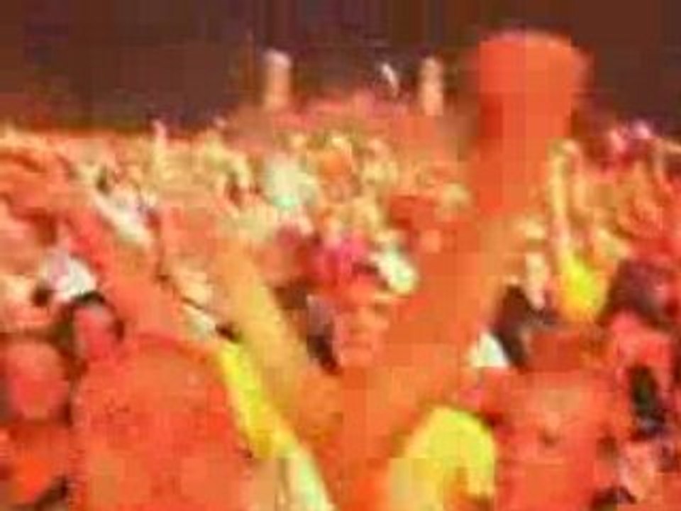 Decibel Outdoor Festival 2008 : Aftermovie
