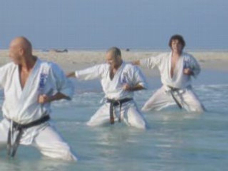 Trailer Seido