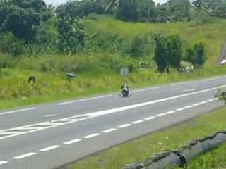 run goyave 2008 hayabusa+kit nos