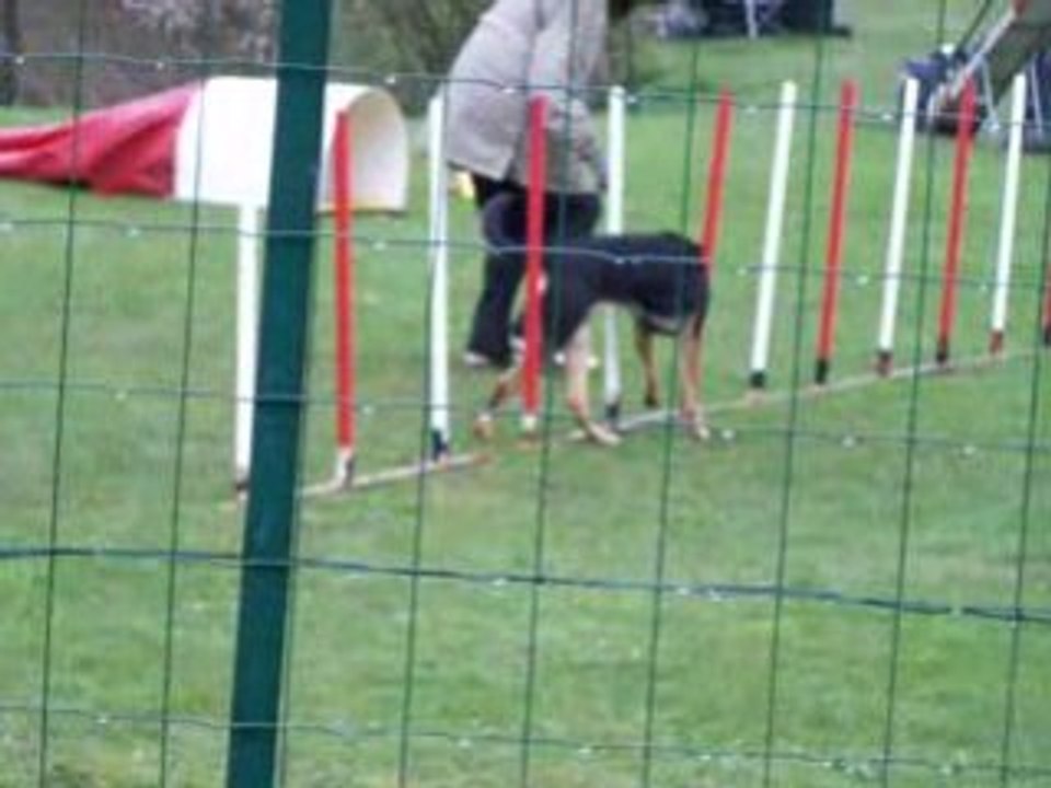 Jumping du 30032008 à Chateauroux
