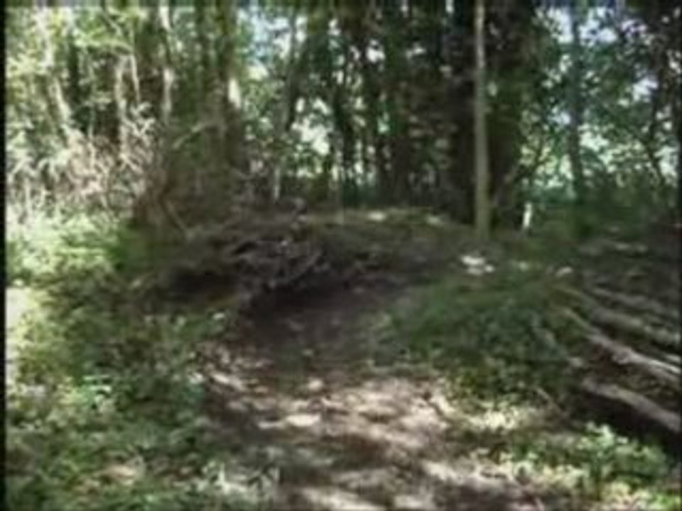 session 65 et 85 ktm