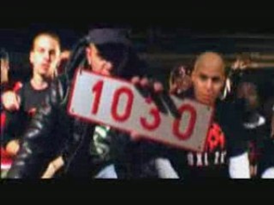 Bxl Zoo HD