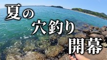 夏の穴釣りで岩の隙間を探ると反応が出た