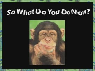 Unbelievable Training For Pro Travel Network...