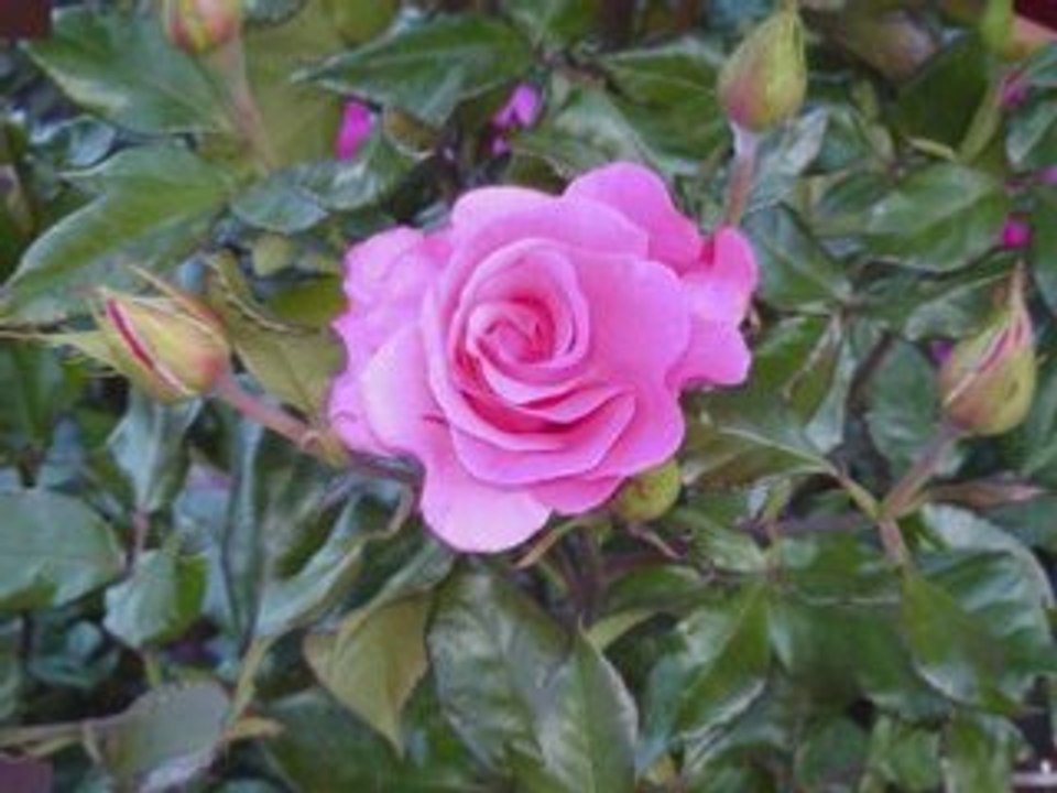 Norwegen Resumée von Anja und Nancy Part 2