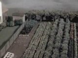 Vegetable Gardening in WWII: Victory Gardens Vintage Film