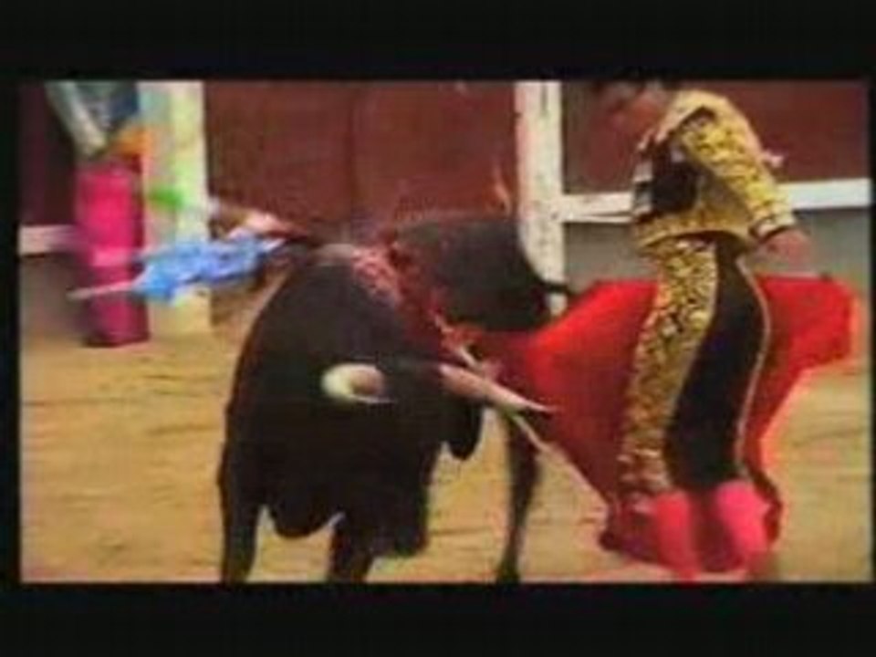 Piel de Toro - Capítulo 25 - Ortega Cano Beneficencia