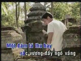 Ngo vang xon xao - Quang Dung