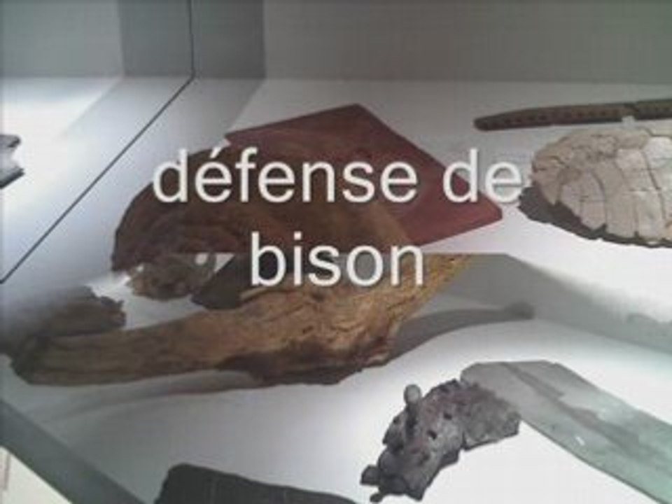 Dino