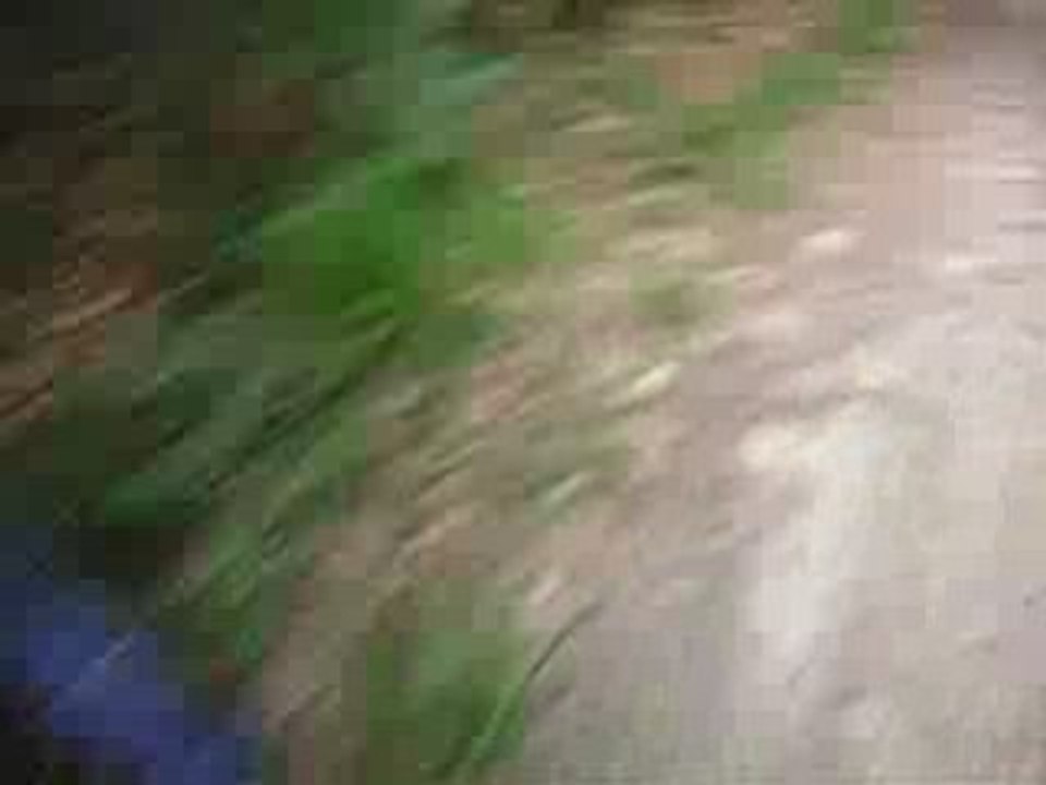 DSCN2625