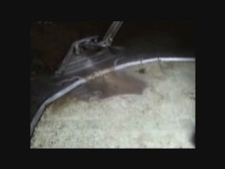 carpet cleaner austin