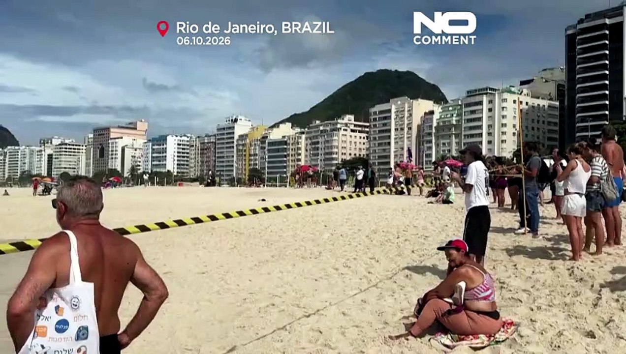 Unerwarteter Strandgast in Rio: Seeelefant lockt Schaulustige an