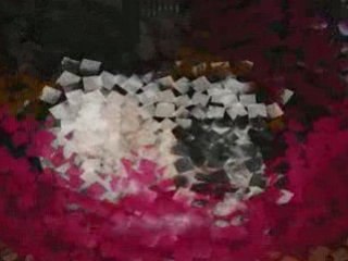 Biscotte et ses petits