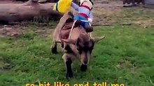 i_ll start! 🇵🇹 and you_ #goat #fypage #funny