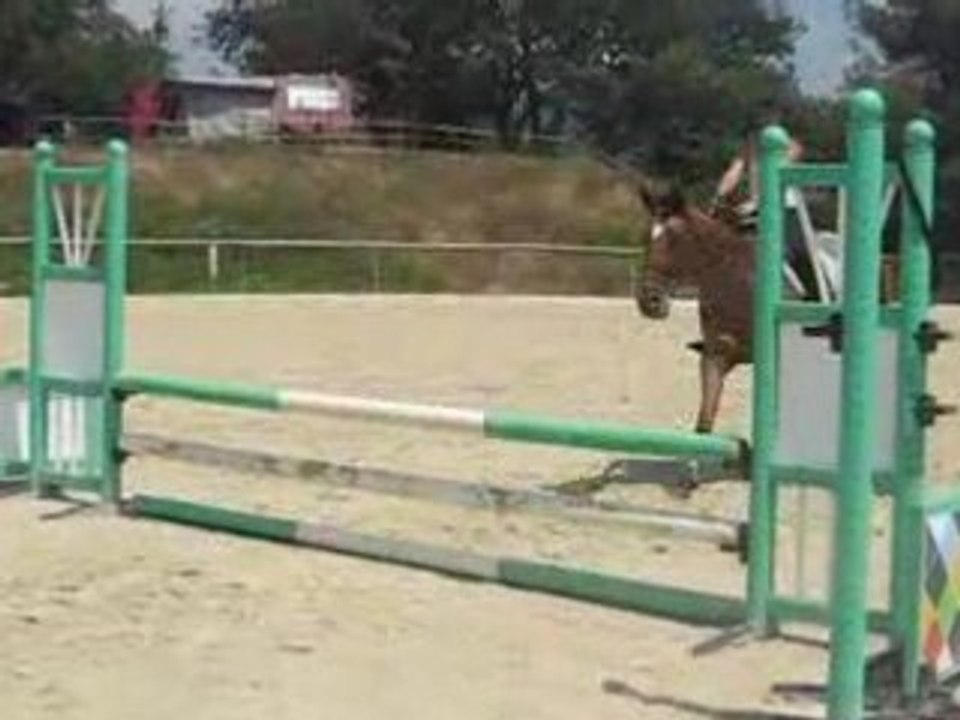 Tanya&&Killerine - Saut.