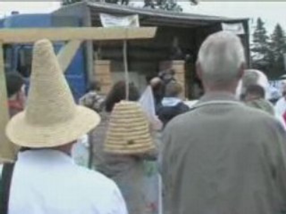Bienensterben