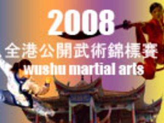 2008 Hong Kong Wushu Competition