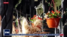 Ionela Bran - Trandafir, miros frumos (Bine v-am gasit, romani! - ETNO TV - 07.06.2026)