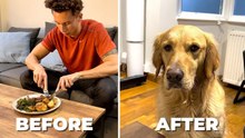 Life Before and After a Golden Retriever | Funny Family Dog Moments