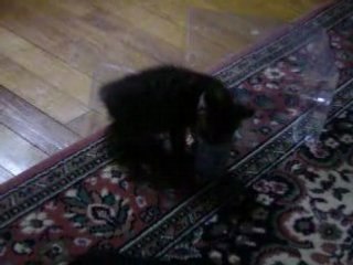 natoune et son yaourt