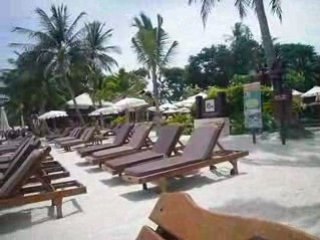 Preaching Blues sur une plage de Thailande