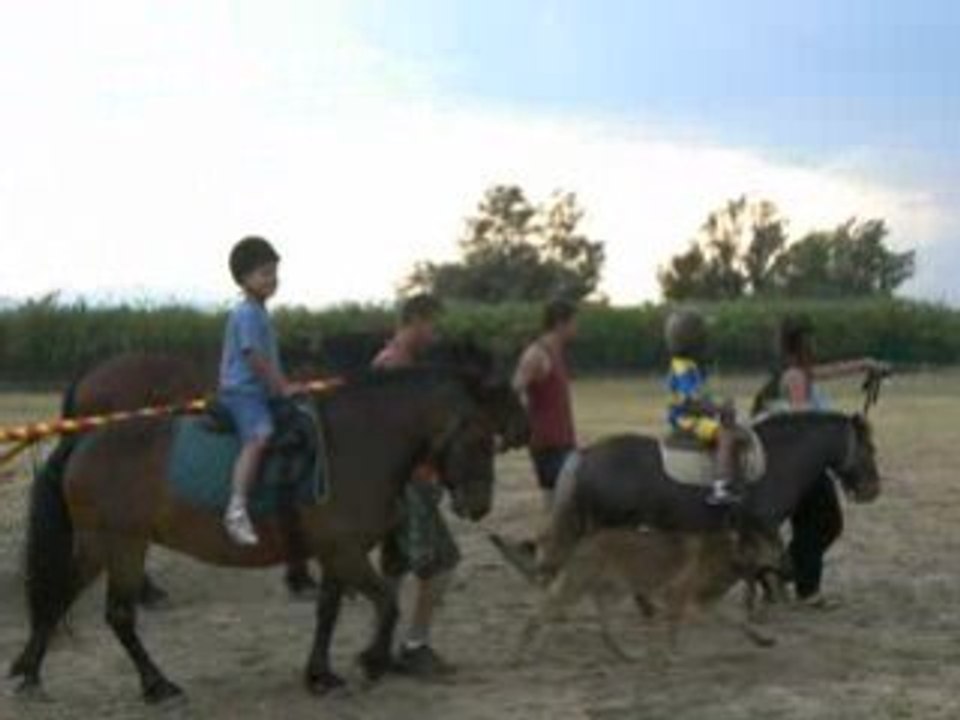 Cheval1