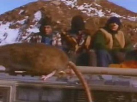 Greg Osby feat public enemy and ice cube - Mr Gutterman