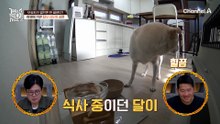 "형욱이 형은 할 수 있을 거야" 세 마리의 평화를 바라는 보호자