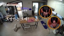 일진견 참교육하러 온 유도부 최강자 강형욱?! 뒤늦게 알게 된 개통령의 실체