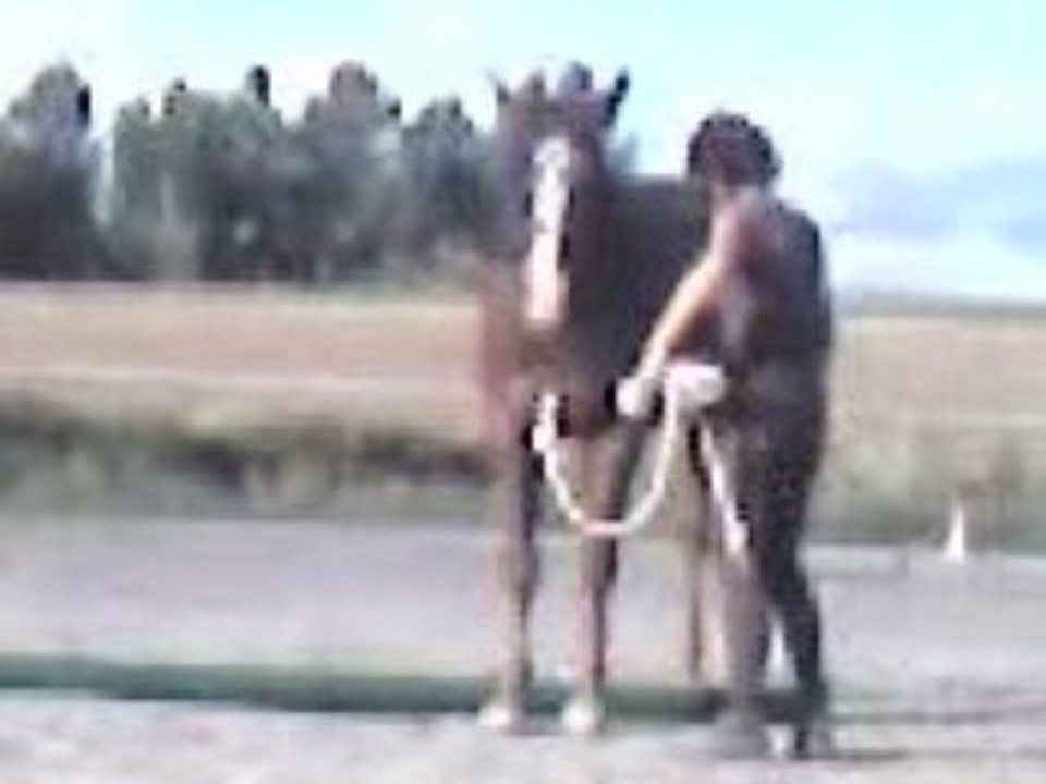 Déplacements Latéraux - 17 Août 08