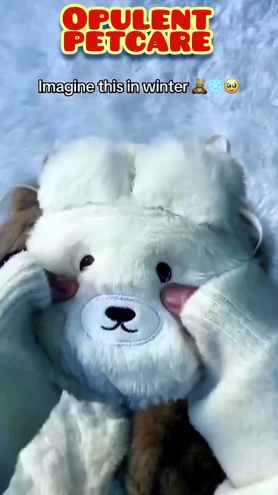 Plush Bear Bra Set Cute Cartoon Lingerie for Cozy, Playful Style ...