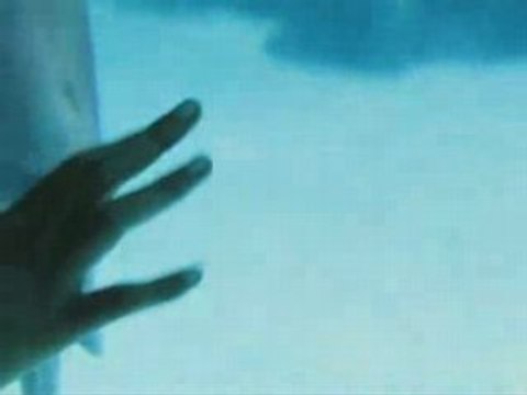 Dolphin play bubble rings