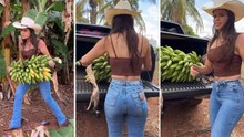 Cintia Souza mostra rotina no campo ao cortar cacho de bananas e chama atenção dos seguidores