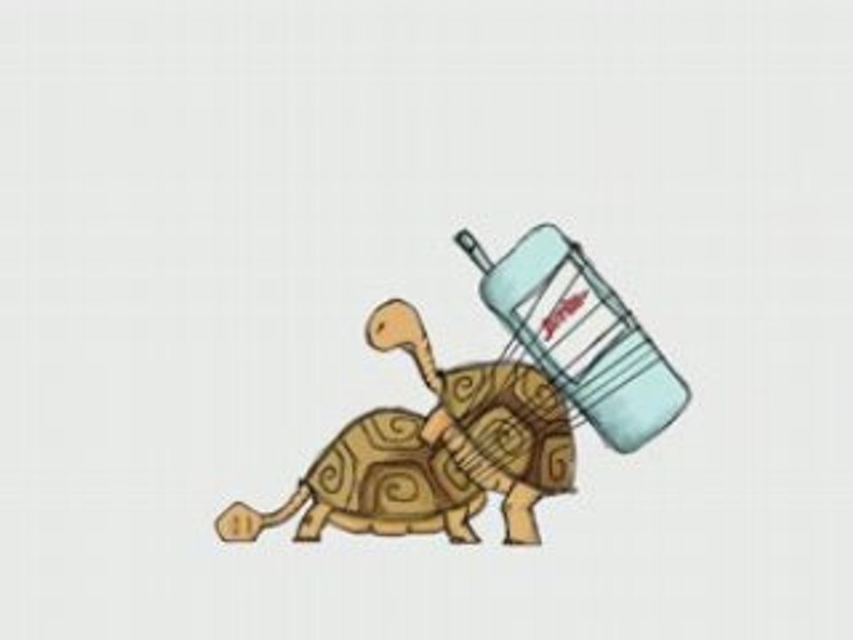 Tortue