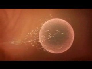 Le petit truc en plus