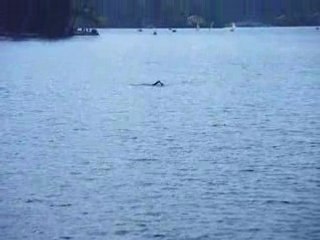 Entrainement triathlon XL Gerardmer 2008