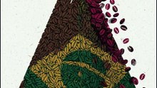 O Ciclo do Café na História do Brasil