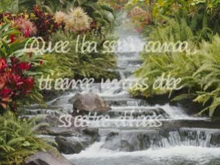 Voy a apagar la luz  Contigo aprendi