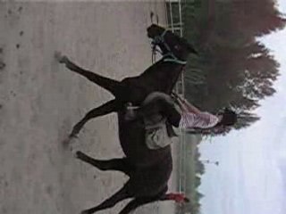 En carrière avec Fanfan à Pont Royal