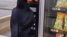 Wild Crow Uses Money In A Vending Machine To Buy Chips | Animal Intelligence