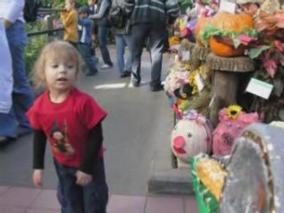 Charlotte et les citrouilles.