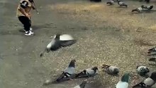 Subah Ke Waqt Karbala Mein Bachche Aur Kabutar Ka Pyara Khel | Bain-ul-Haramain Peaceful Morning 🕊️