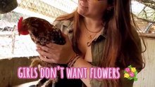 Actually, my girl wants flowers (in pots ) and chickens (laying hens 🥚🥚🐔) 😱😱🤣 #chickens