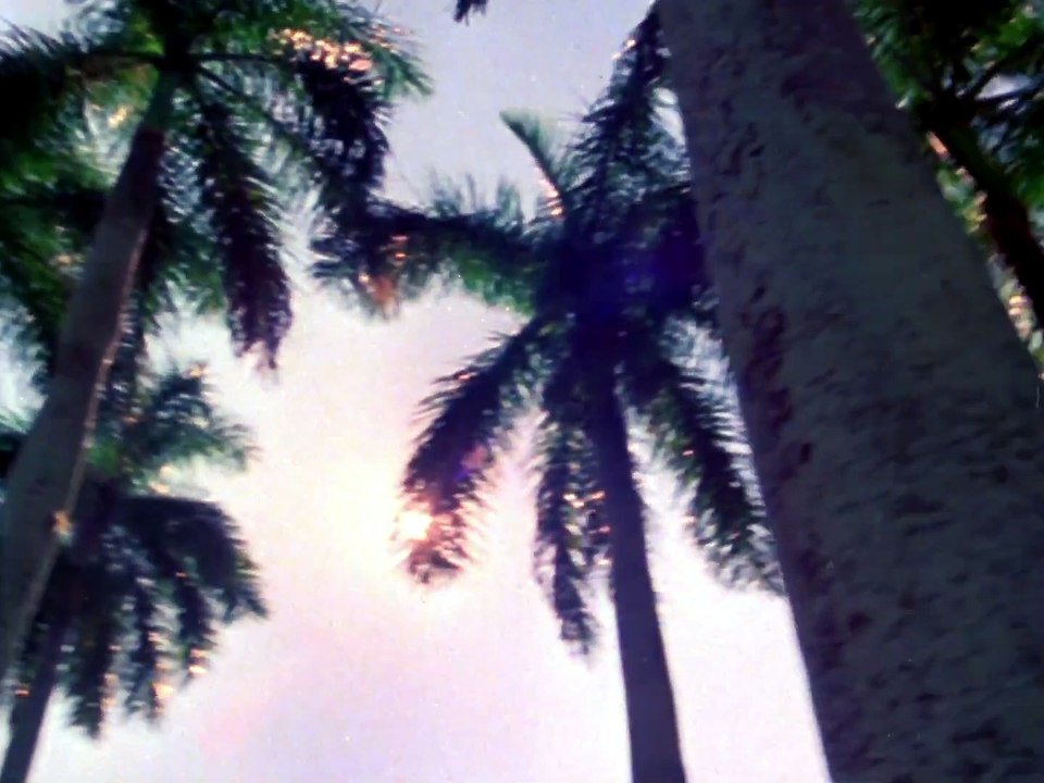 Das intro der 80er-tv-serie miami vice zeigt ein bild, das sich viele andere filme und spiele zur inspiration genommen haben