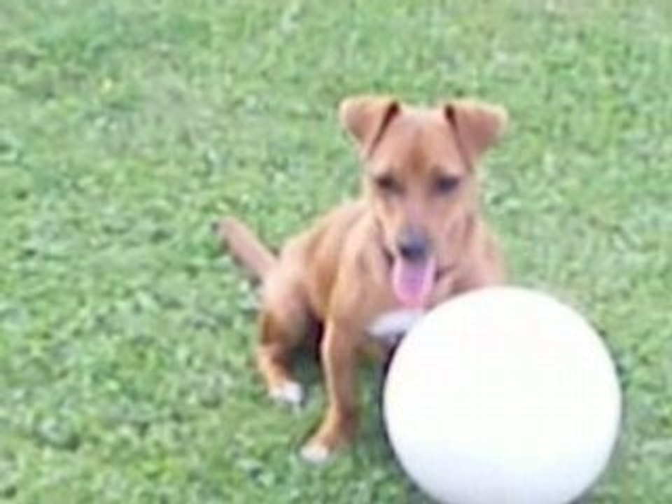 le mini jack footballeur