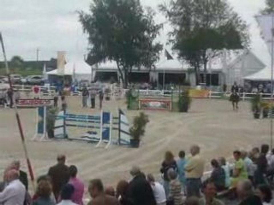 Champion de 3ans de Begique 2008, médaille des rois