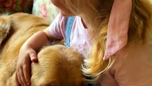 Sleepy Rescue Dog Dozes Off on a Child's Lap 🥹 Pure Peace 🐾