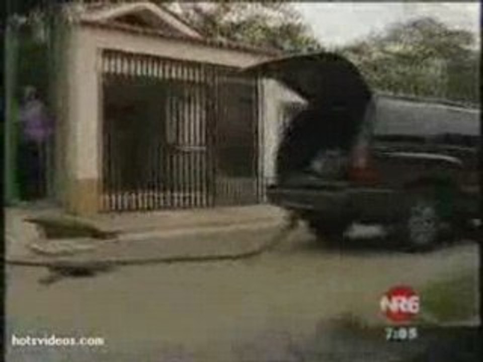 Cops Vs Gate